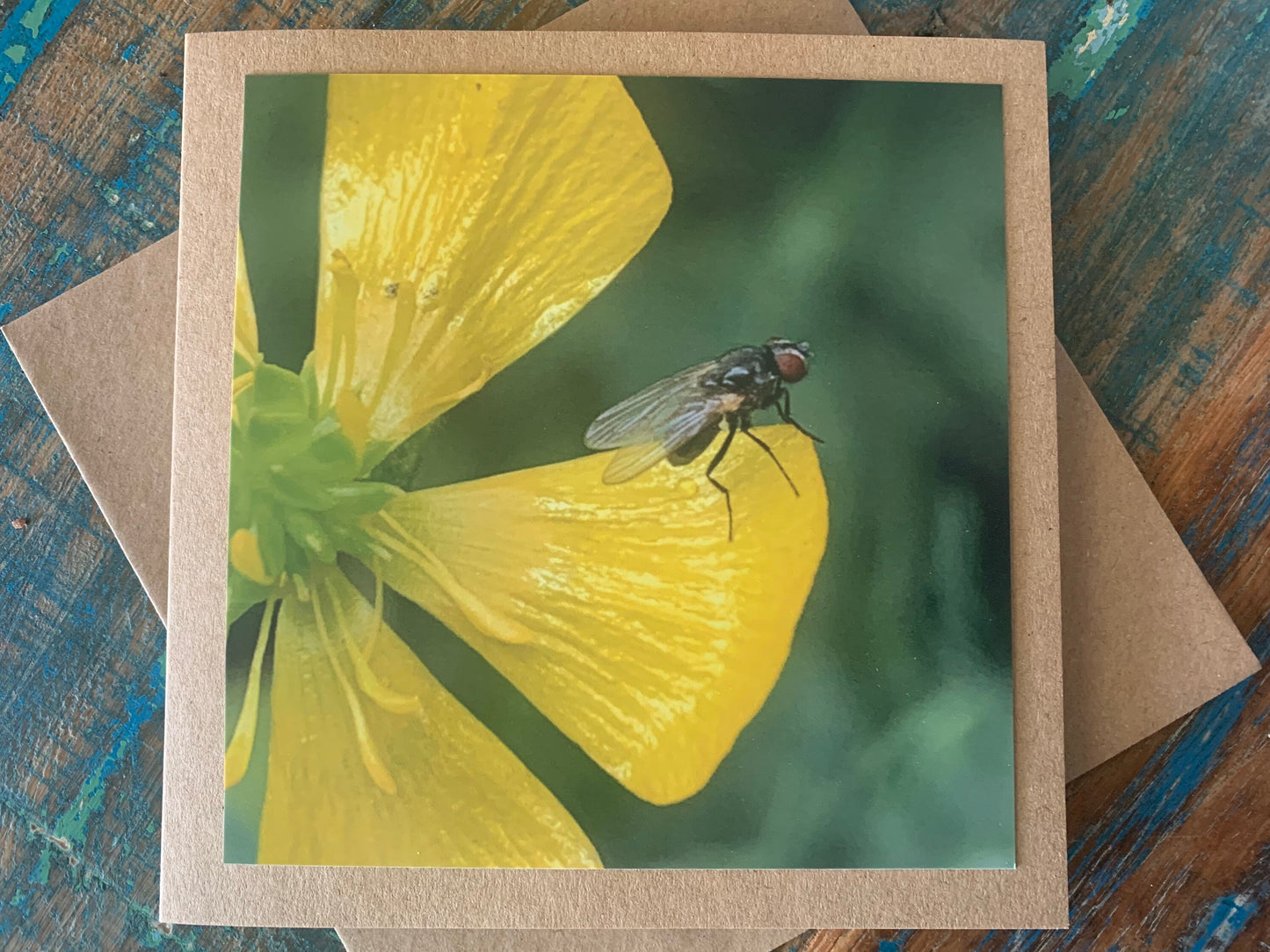 Flower card, recycled card, birthday card, insect card, fly card. Eco friendly card. Handmade card. Unusual card, blank card, floral card