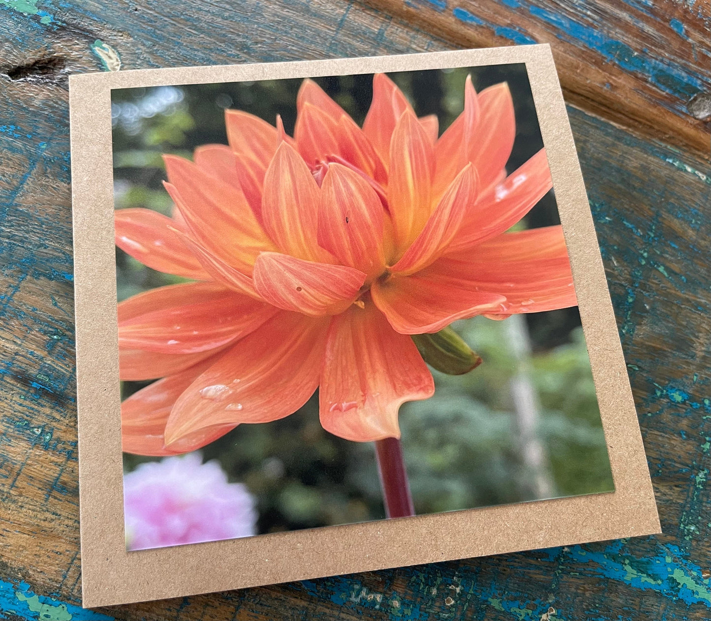 Flower card, recycled card, birthday card, Eco friendly card. Handmade card. Sympathy card, blank gift card, thank you card, gardeners card