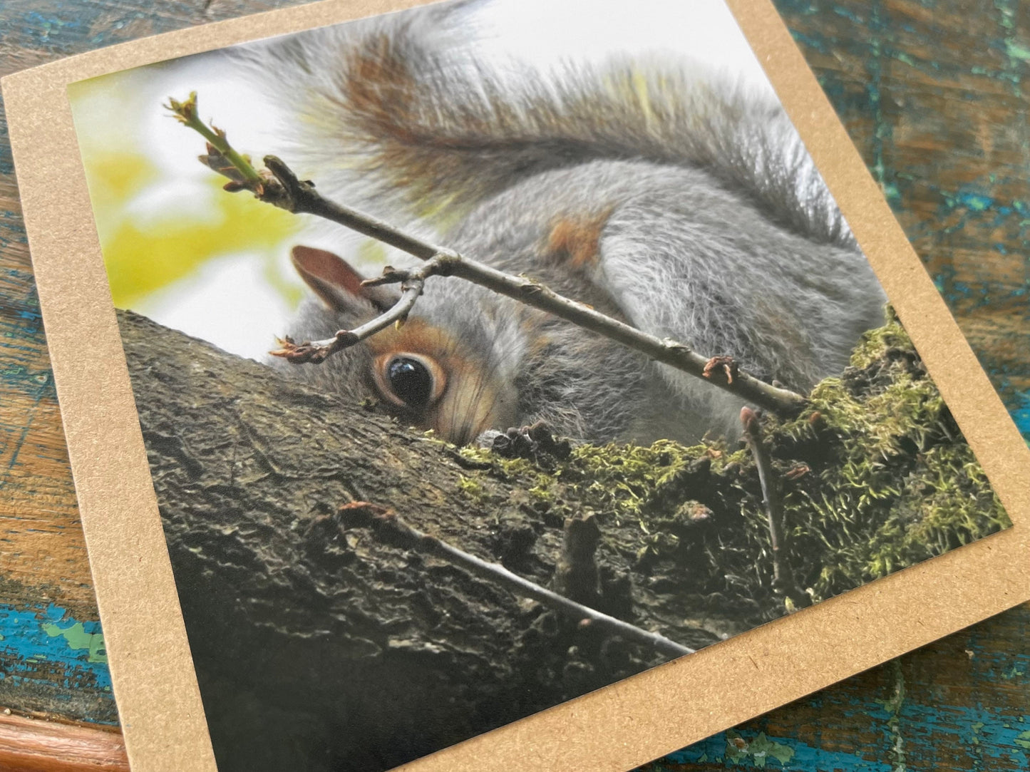 Squirrel card. Get well soon card, recycled card, birthday card, Eco friendly card. Handmade card. Sympathy card, thank you card, wildlife