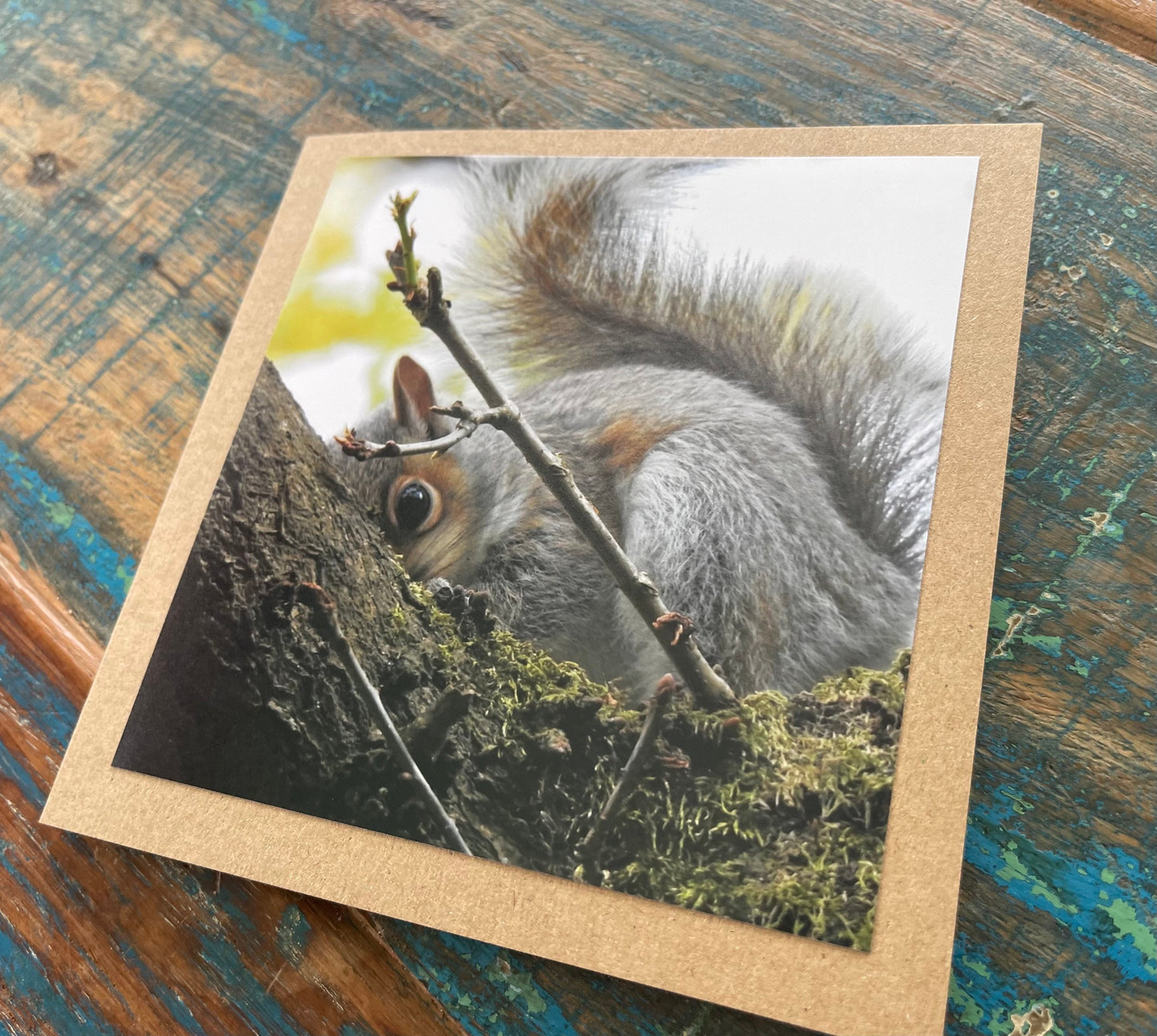 Squirrel card. Get well soon card, recycled card, birthday card, Eco friendly card. Handmade card. Sympathy card, thank you card, wildlife