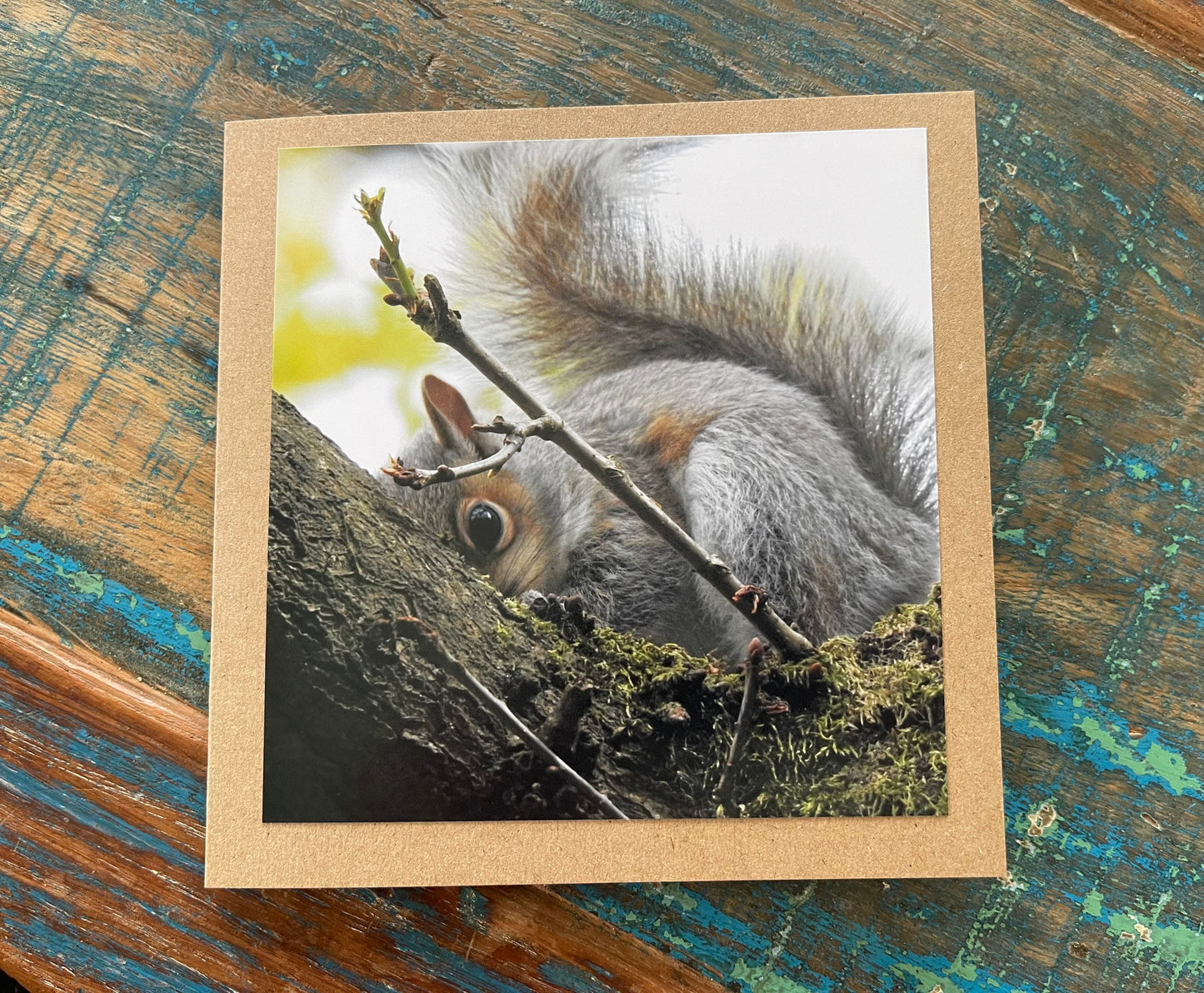 Squirrel card. Get well soon card, recycled card, birthday card, Eco friendly card. Handmade card. Sympathy card, thank you card, wildlife