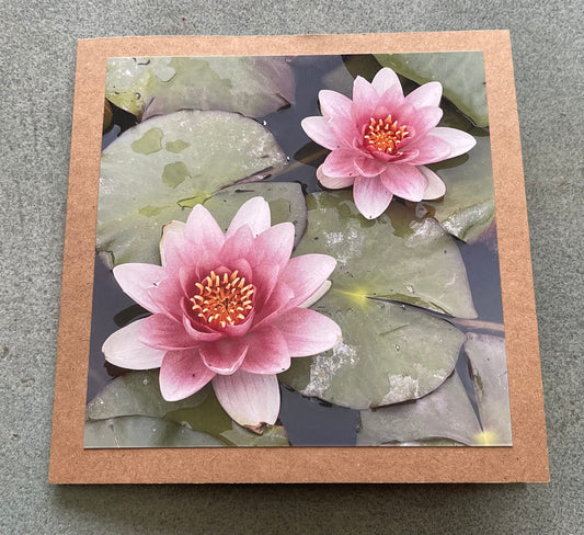 Water lilly card. Flower card, recycled card, birthday card, Eco friendly card. Handmade card. Unusual card, blank gift card, thank you card