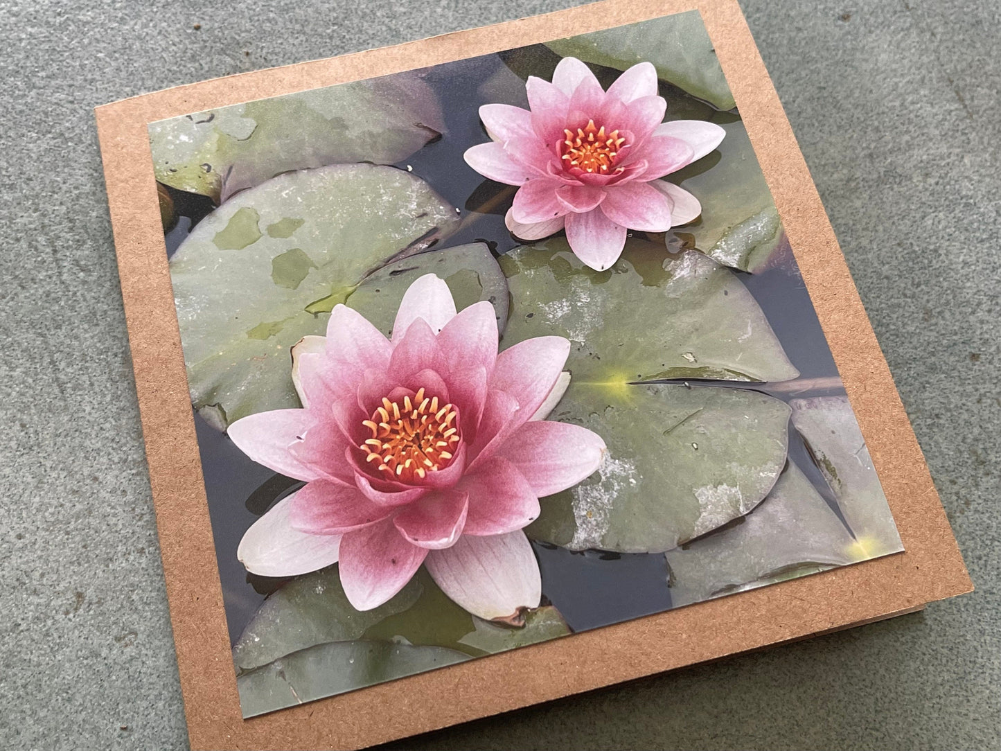 Water lilly card. Flower card, recycled card, birthday card, Eco friendly card. Handmade card. Unusual card, blank gift card, thank you card