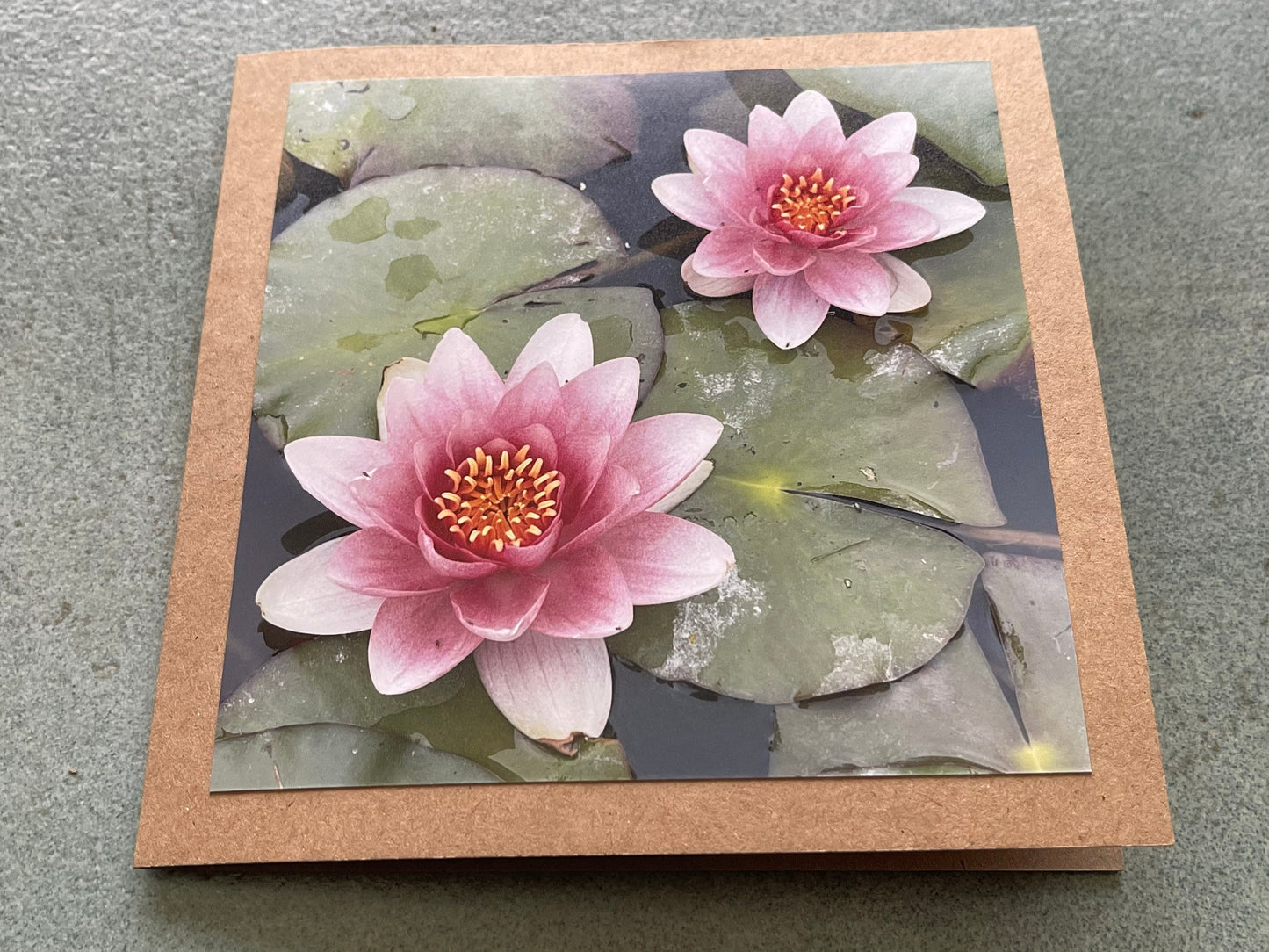 Water lilly card. Flower card, recycled card, birthday card, Eco friendly card. Handmade card. Unusual card, blank gift card, thank you card