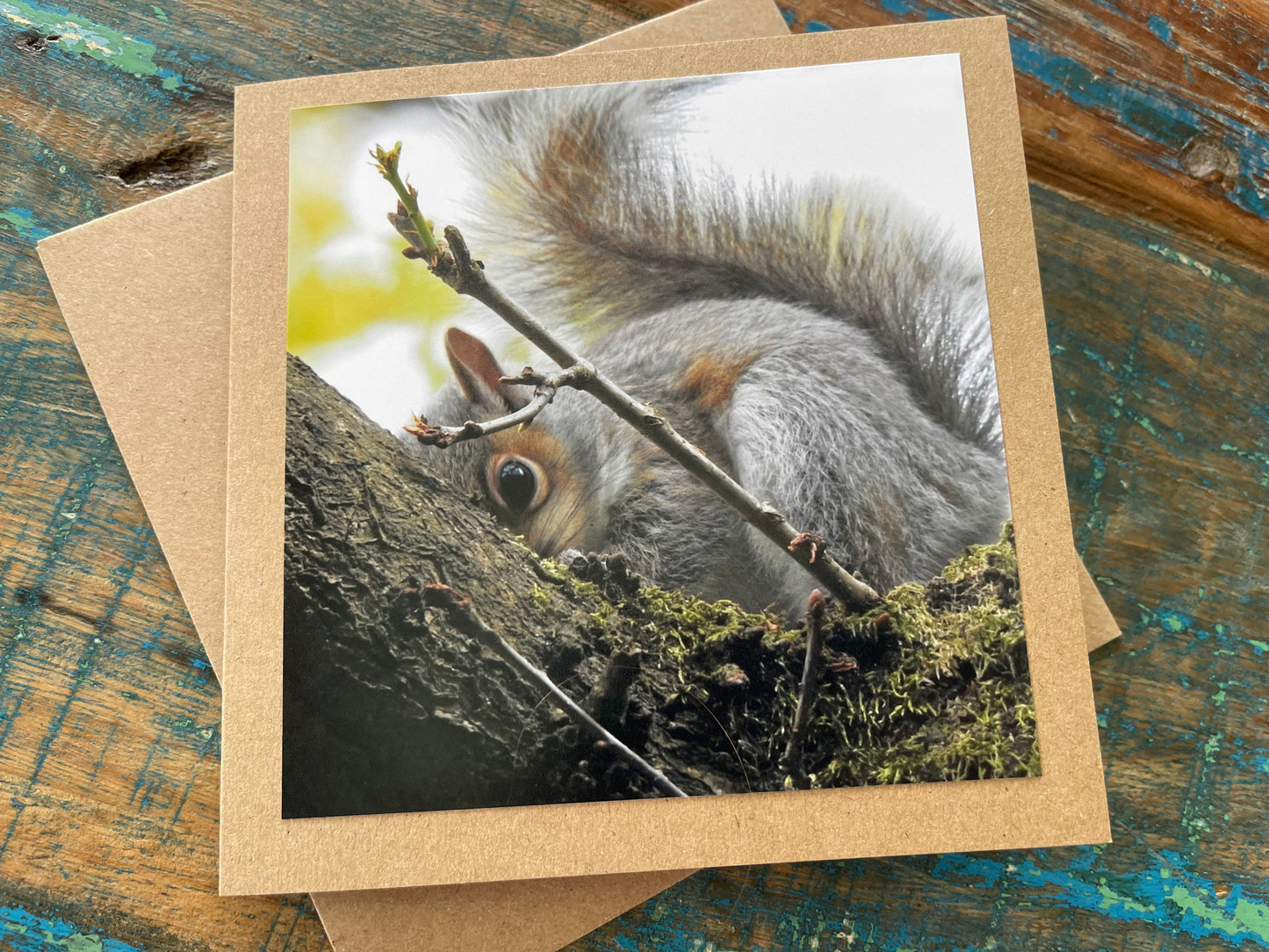 Squirrel card. Get well soon card, recycled card, birthday card, Eco friendly card. Handmade card. Sympathy card, thank you card, wildlife