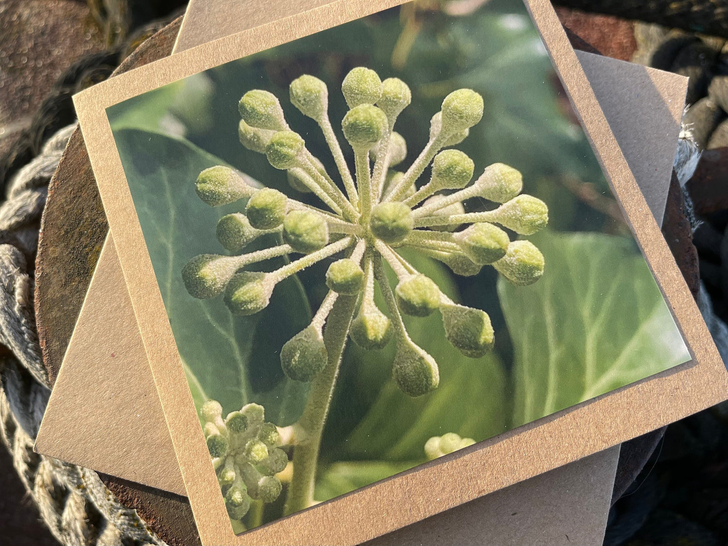 Ivy card, Flower card, recycled card. Eco friendly card. Handmade card, Birthday card, ethical card, photo card, thank you card, plant card