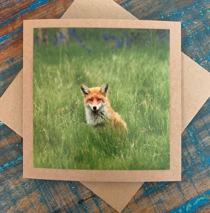 Fox card, recycled card, nature card, birthday card, recycled card. Eco friendly gift card. Handmade card. Blank message card. Eco gift.