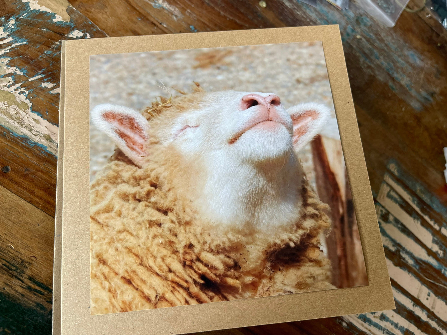 Sheep card, handmade card for her, gift for him. Recycled card, eco friendly card. Wildlife photography card, birthday card, nature card