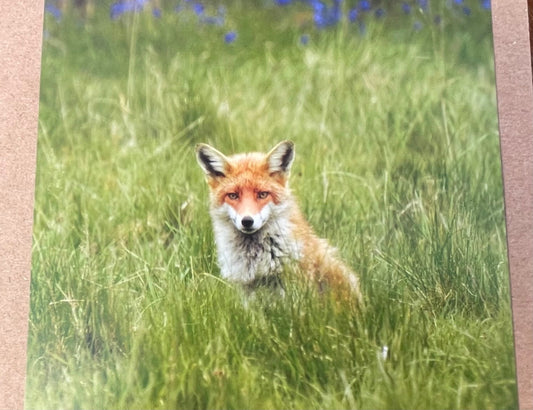 Fox card, recycled card, nature card, birthday card, recycled card. Eco friendly gift card. Handmade card. Blank message card. Eco gift.