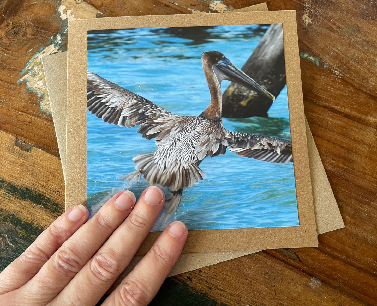 Pelican card, handmade card, gift for her, nature card. Recycled card, eco friendly card. Wildlife photo card, bird card, seaside card boho