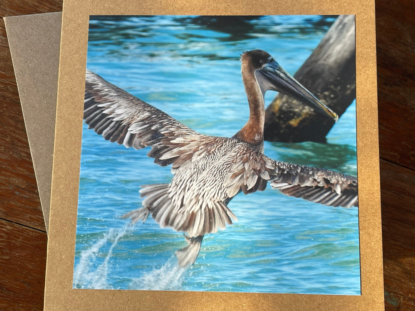 Pelican card, handmade card, gift for her, nature card. Recycled card, eco friendly card. Wildlife photo card, bird card, seaside card boho