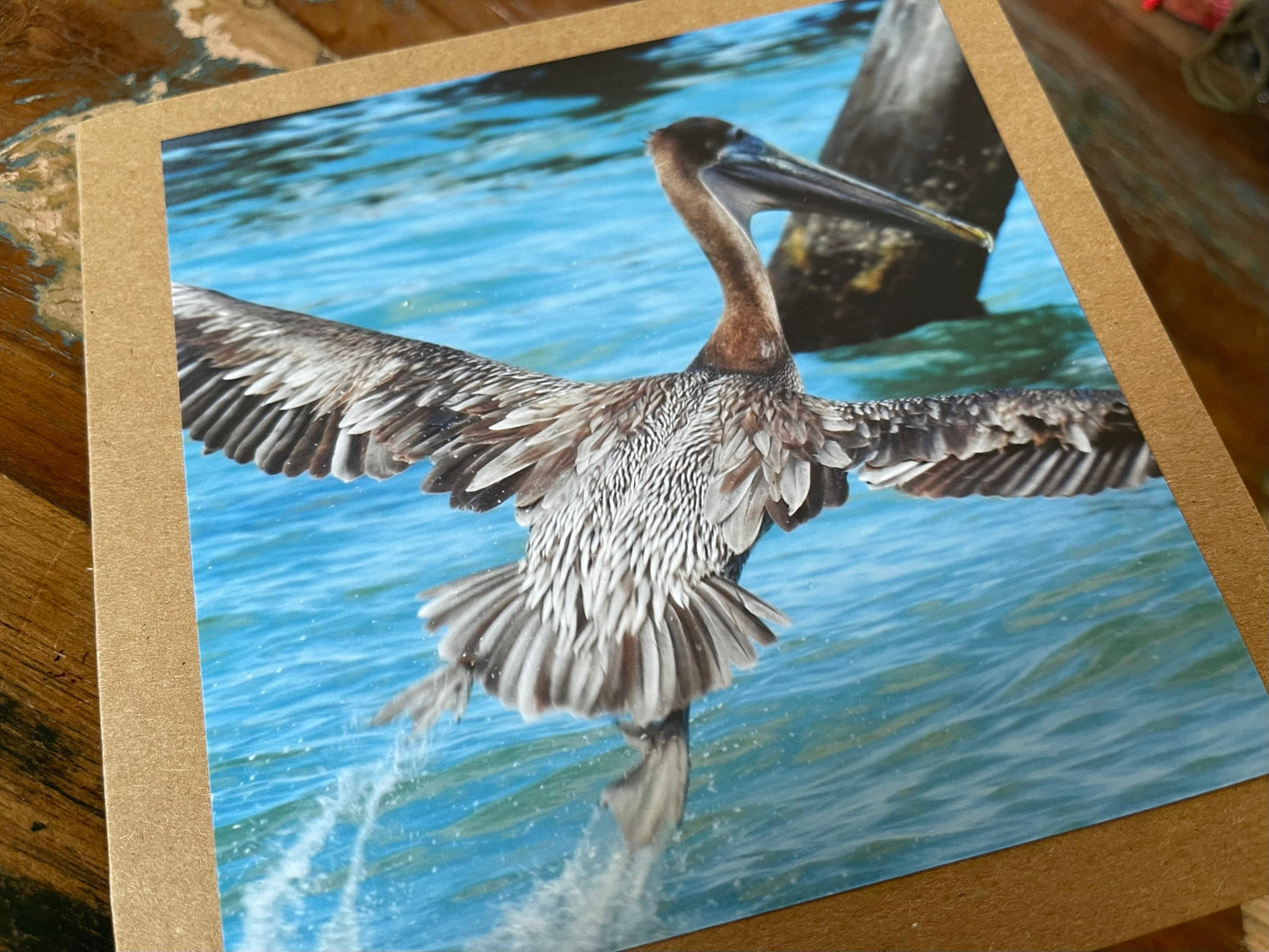 Pelican card, handmade card, gift for her, nature card. Recycled card, eco friendly card. Wildlife photo card, bird card, seaside card boho