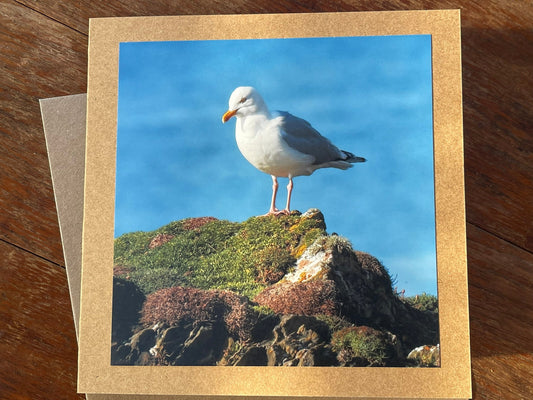 Seagull card, recycled card, birthday card, recycled card. Eco friendly card. Handmade card. Unusual Thank you card, blank gift card, bird