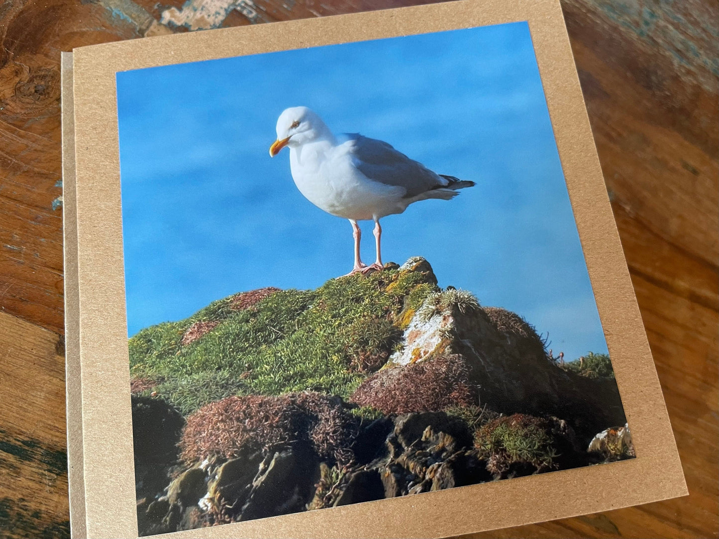 Seagull card, recycled card, birthday card, recycled card. Eco friendly card. Handmade card. Unusual Thank you card, blank gift card, bird