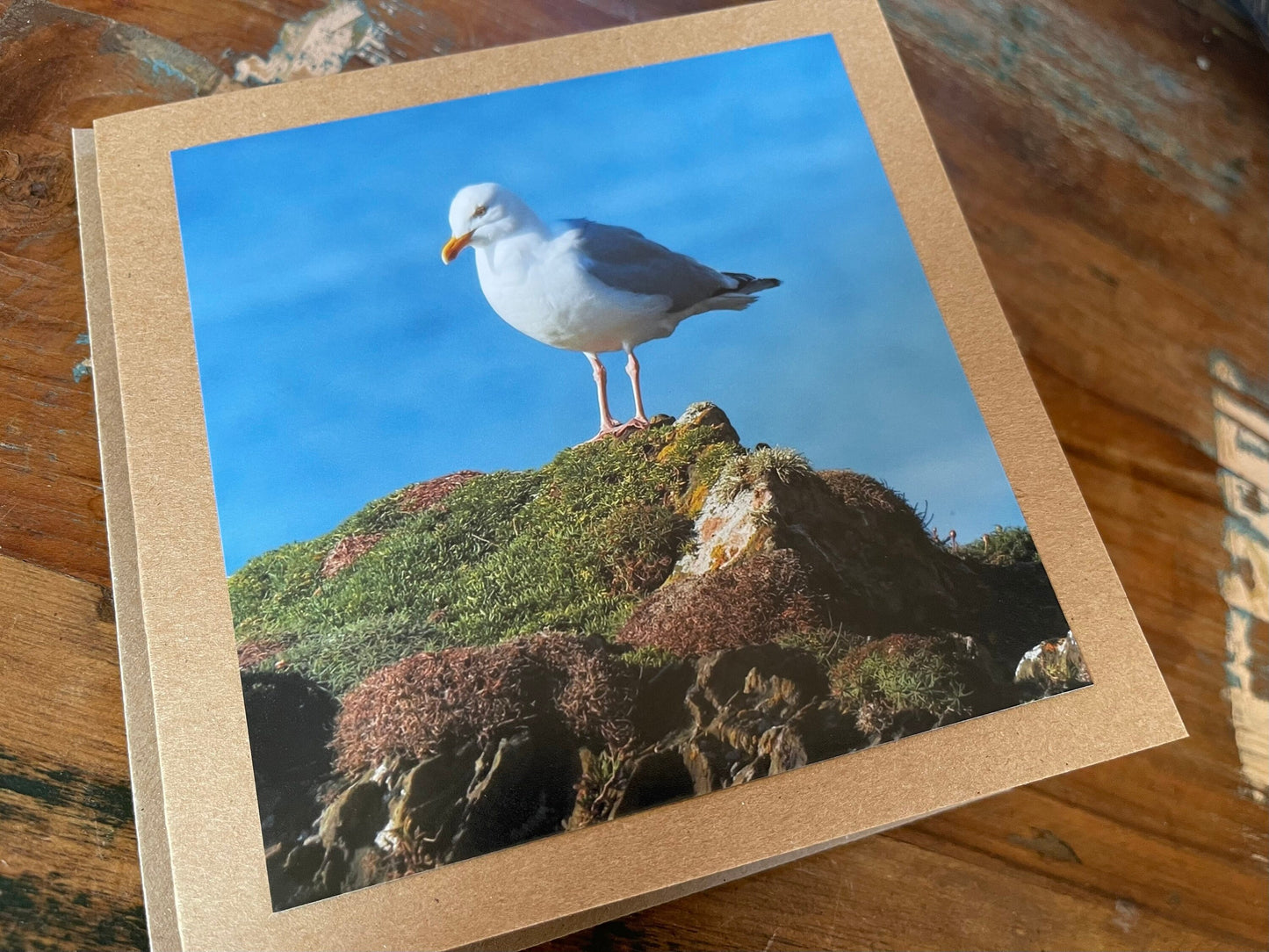 Seagull card, recycled card, birthday card, recycled card. Eco friendly card. Handmade card. Unusual Thank you card, blank gift card, bird