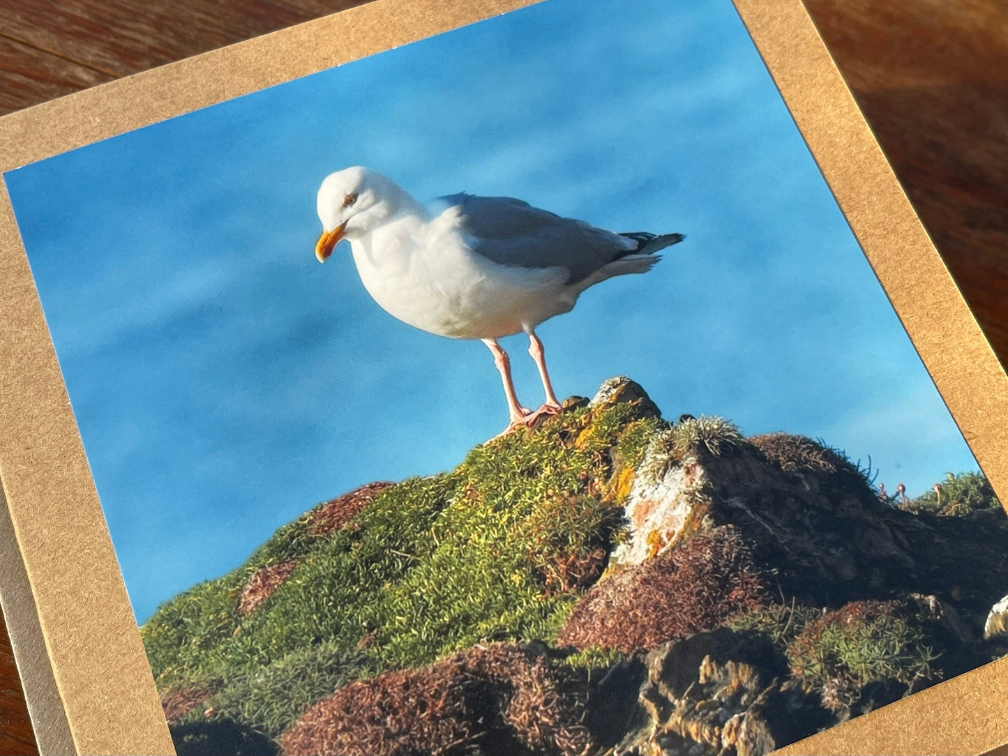 Seagull card, recycled card, birthday card, recycled card. Eco friendly card. Handmade card. Unusual Thank you card, blank gift card, bird