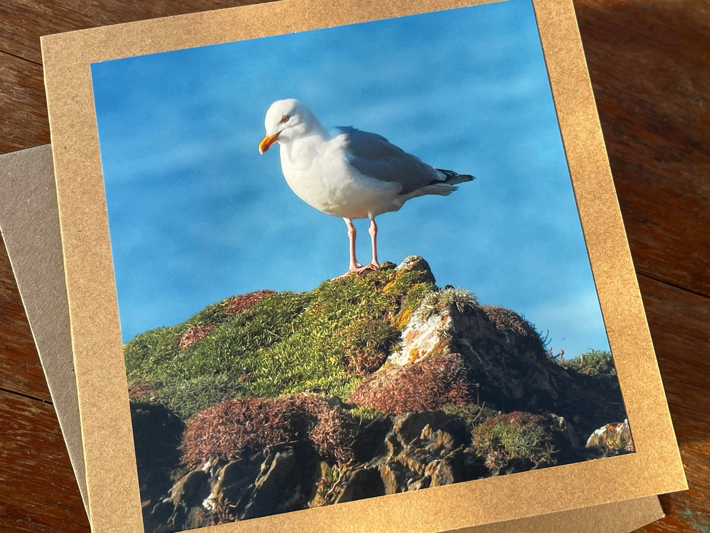 Seagull card, recycled card, birthday card, recycled card. Eco friendly card. Handmade card. Unusual Thank you card, blank gift card, bird