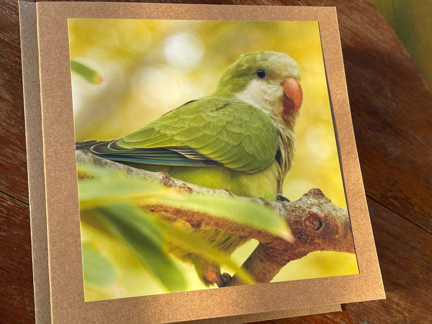 Parrot card, recycled card, birthday card, recycled card. Eco friendly card. Handmade card. Unusual Thank you card, blank gift card