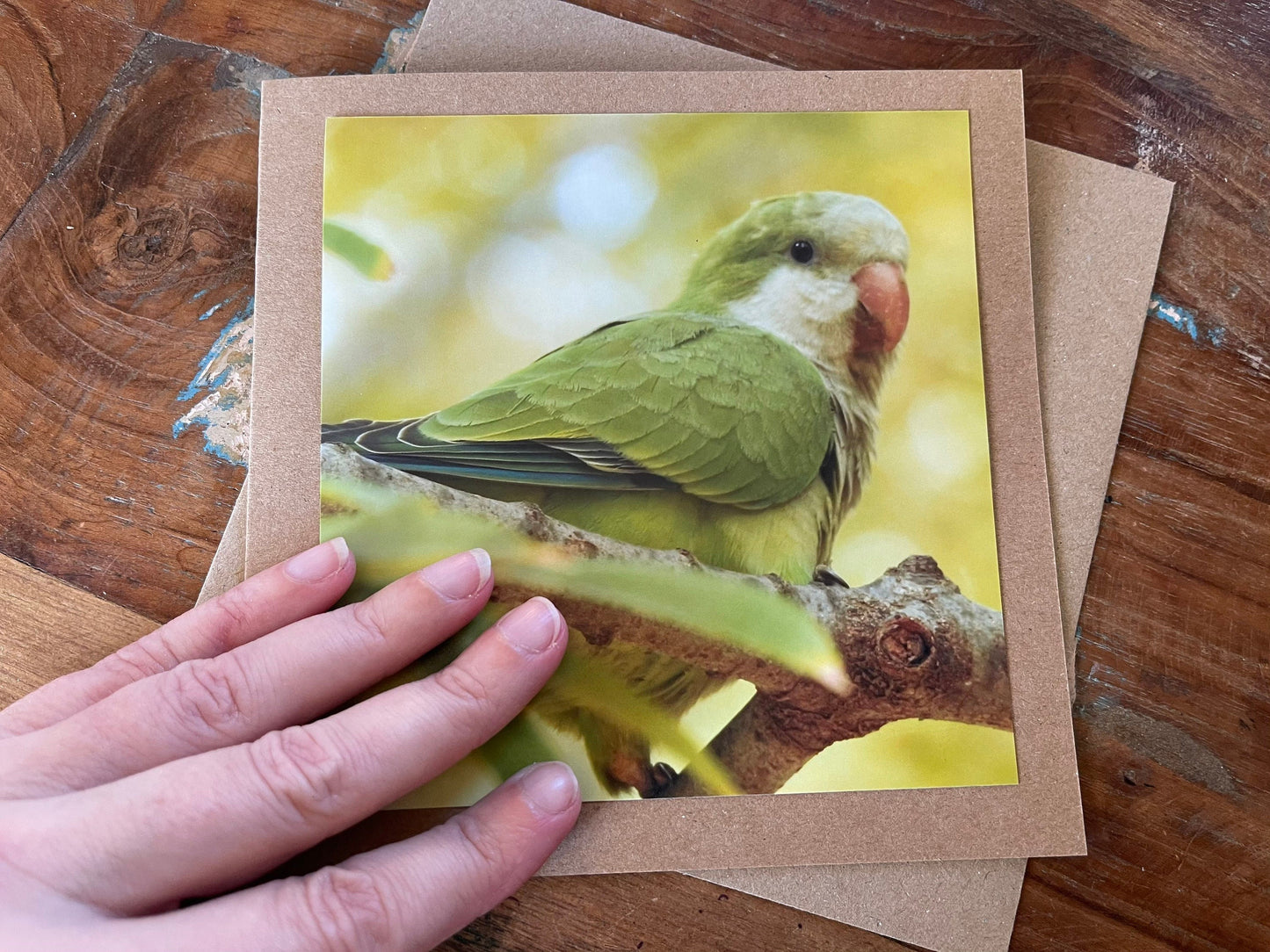 Parrot card, recycled card, birthday card, recycled card. Eco friendly card. Handmade card. Unusual Thank you card, blank gift card