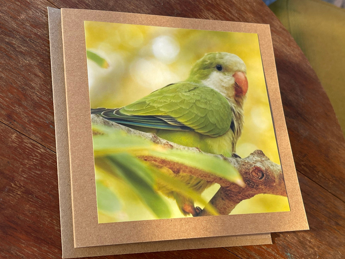 Parrot card, recycled card, birthday card, recycled card. Eco friendly card. Handmade card. Unusual Thank you card, blank gift card