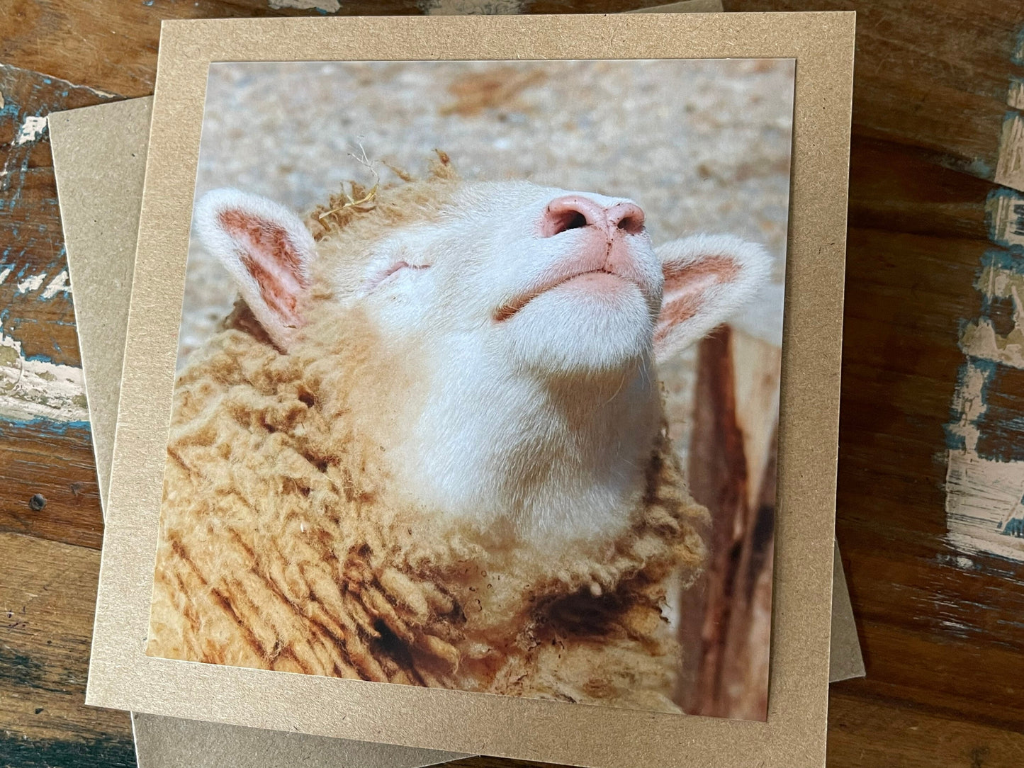 Sheep card, handmade card for her, gift for him. Recycled card, eco friendly card. Wildlife photography card, birthday card, nature card