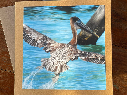 Pelican card, handmade card, gift for her, nature card. Recycled card, eco friendly card. Wildlife photo card, bird card, seaside card boho