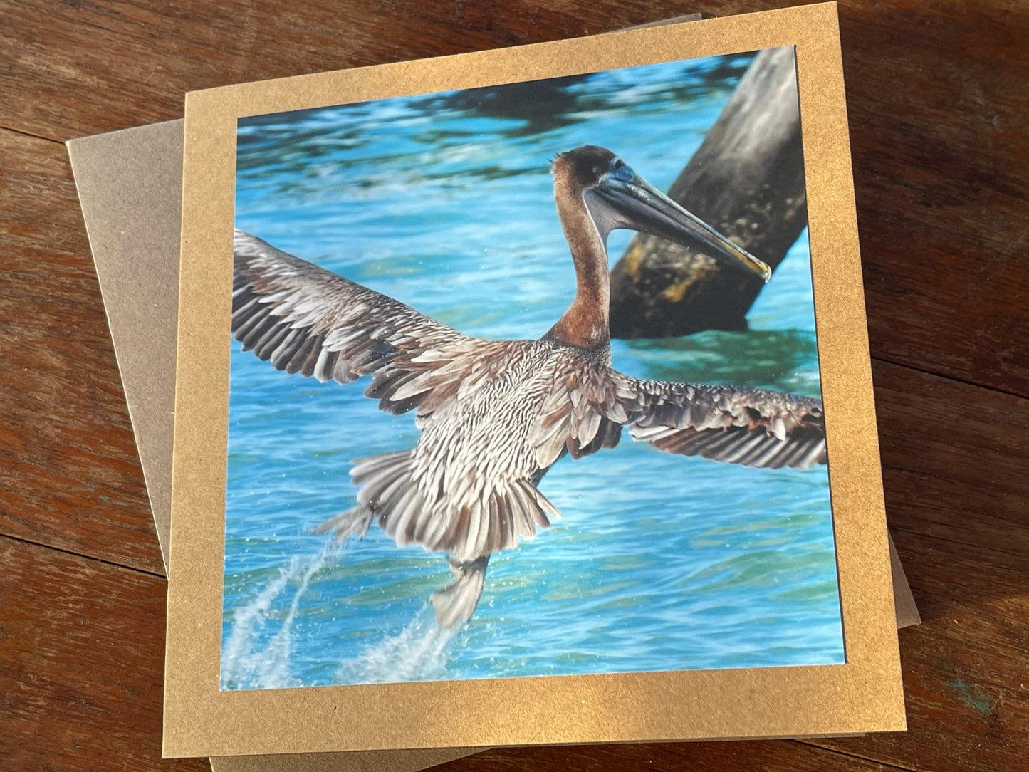 Pelican card, handmade card, gift for her, nature card. Recycled card, eco friendly card. Wildlife photo card, bird card, seaside card boho