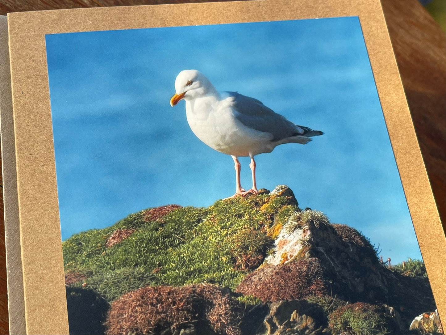 Seagull card, recycled card, birthday card, recycled card. Eco friendly card. Handmade card. Unusual Thank you card, blank gift card, bird