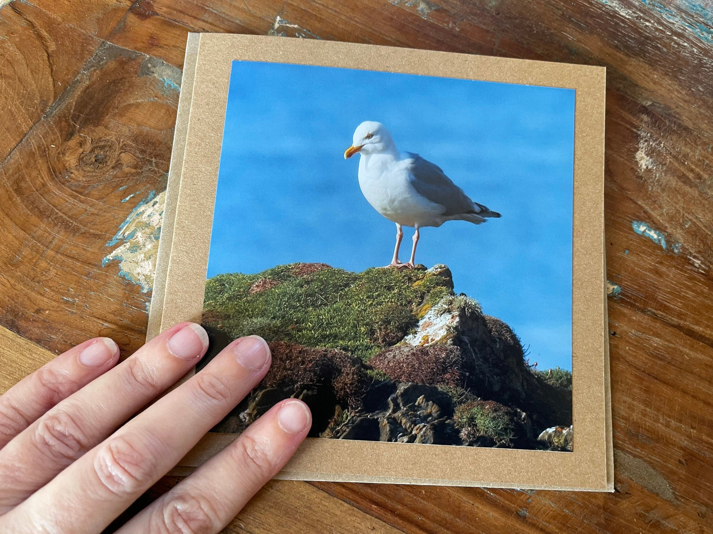 Seagull card, recycled card, birthday card, recycled card. Eco friendly card. Handmade card. Unusual Thank you card, blank gift card, bird