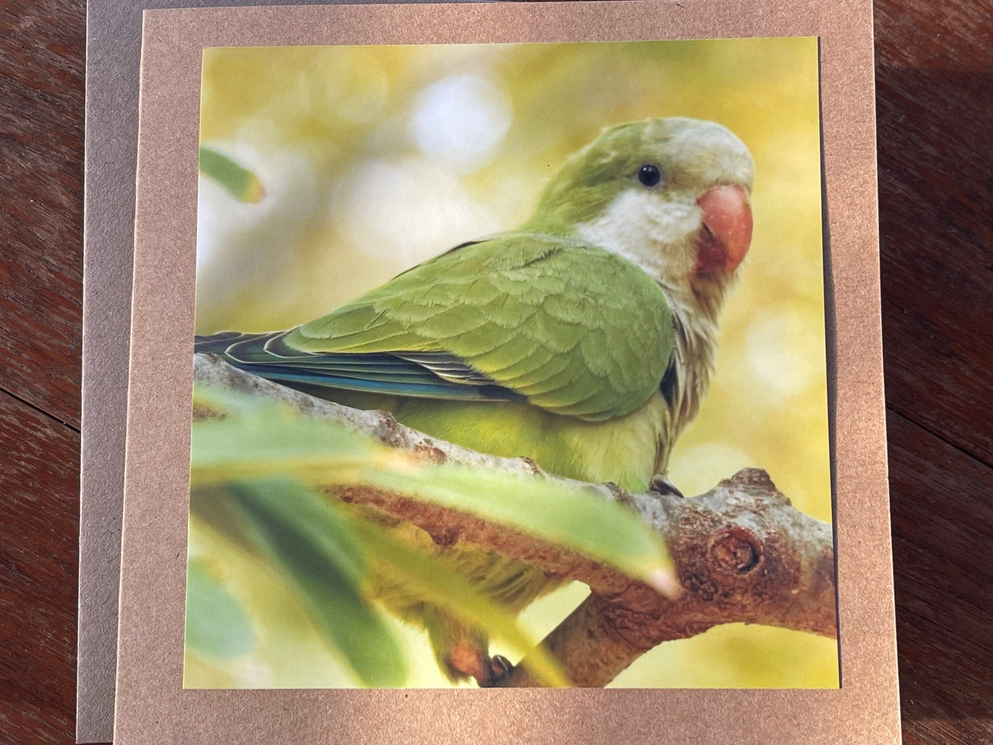 Parrot card, recycled card, birthday card, recycled card. Eco friendly card. Handmade card. Unusual Thank you card, blank gift card