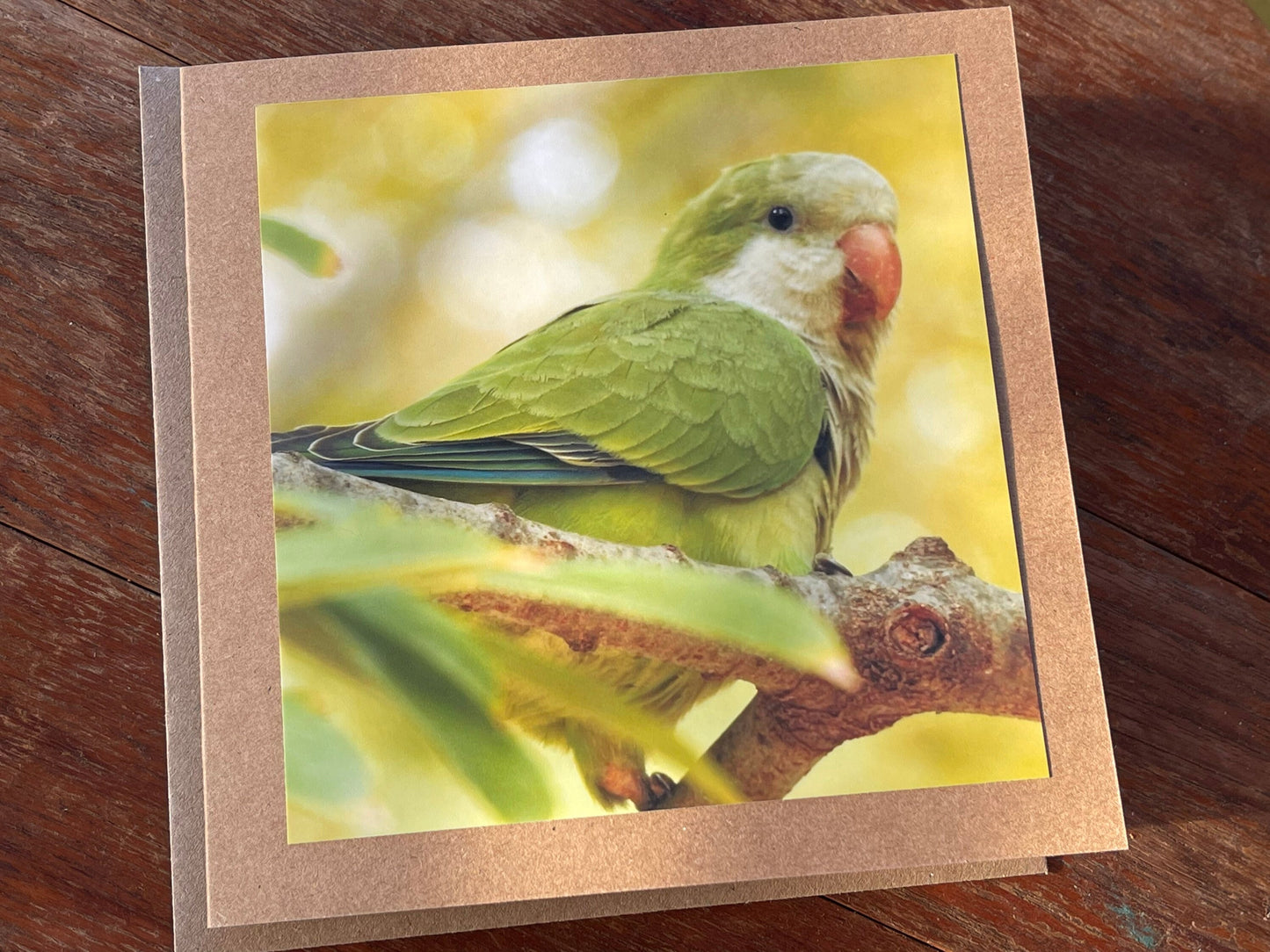 Parrot card, recycled card, birthday card, recycled card. Eco friendly card. Handmade card. Unusual Thank you card, blank gift card