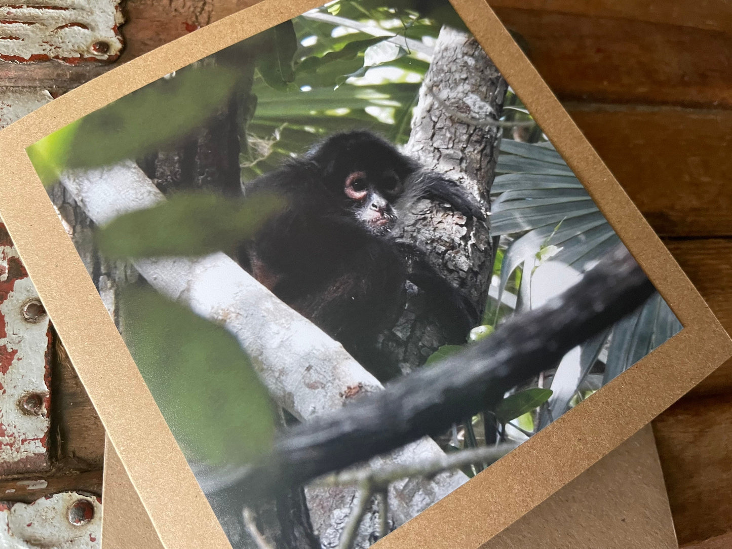 Monkey card. Handmade card, recycled card. Wildlife photography. Eco friendly card, boho nature card, rustic card, card for monkey lover,