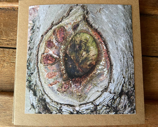 Handmade card, recycled card. Tree card. Arty card Eco friendly card, boho card, greetings card, rustic card, condolence card sunflower card