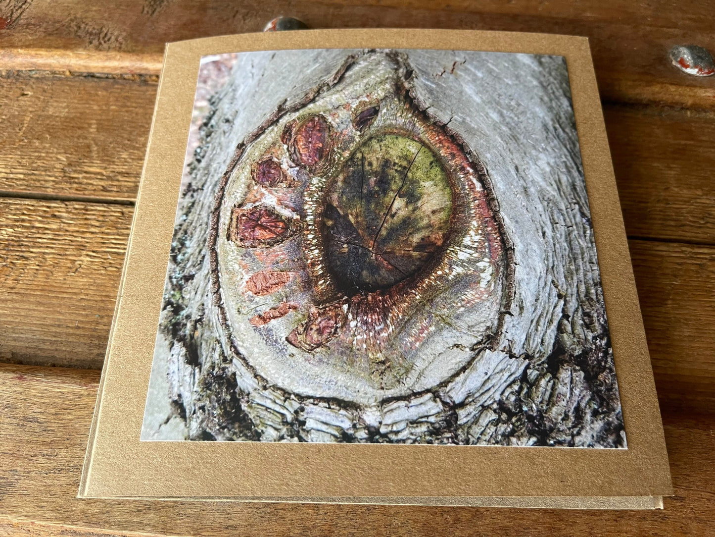 Handmade card, recycled card. Tree card. Arty card Eco friendly card, boho card, greetings card, rustic card, condolence card sunflower card