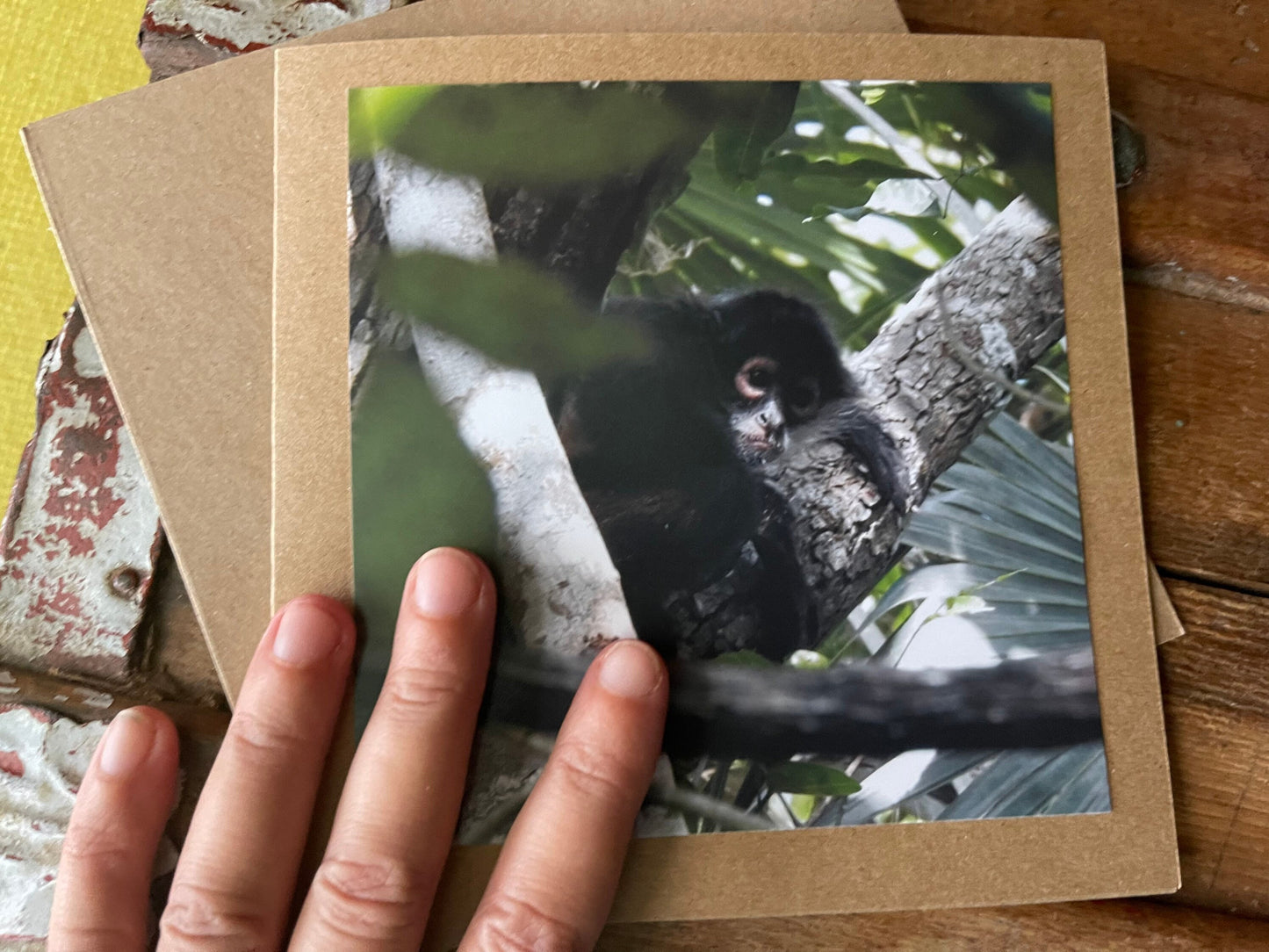 Monkey card. Handmade card, recycled card. Wildlife photography. Eco friendly card, boho nature card, rustic card, card for monkey lover,