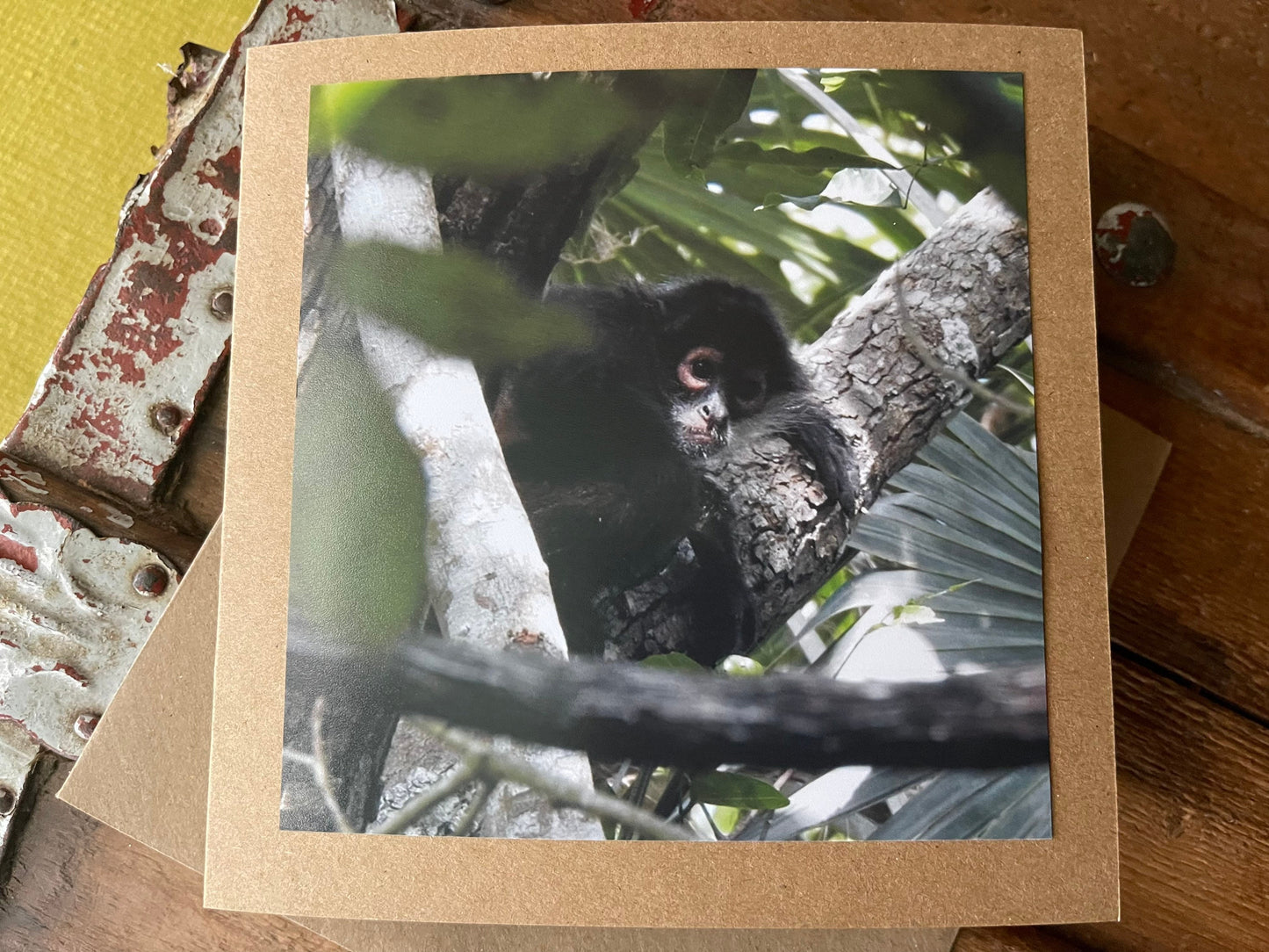 Monkey card. Handmade card, recycled card. Wildlife photography. Eco friendly card, boho nature card, rustic card, card for monkey lover,