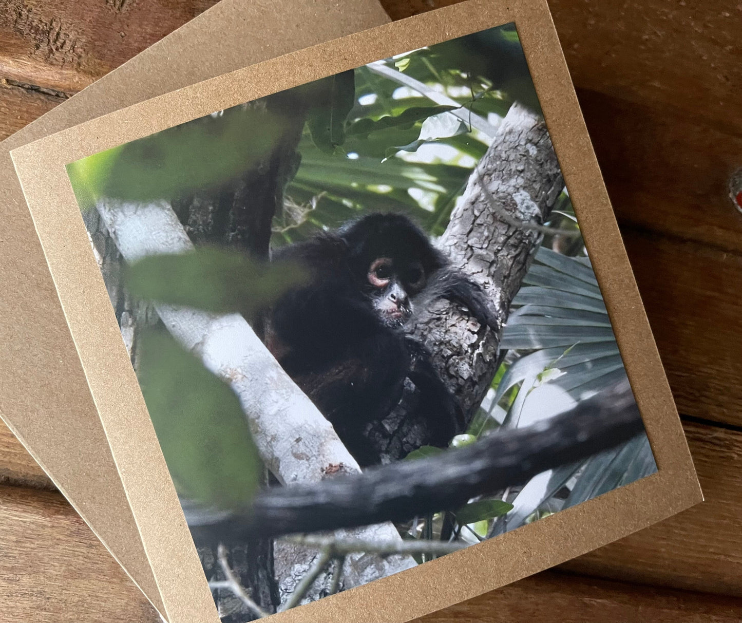 Monkey card. Handmade card, recycled card. Wildlife photography. Eco friendly card, boho nature card, rustic card, card for monkey lover,