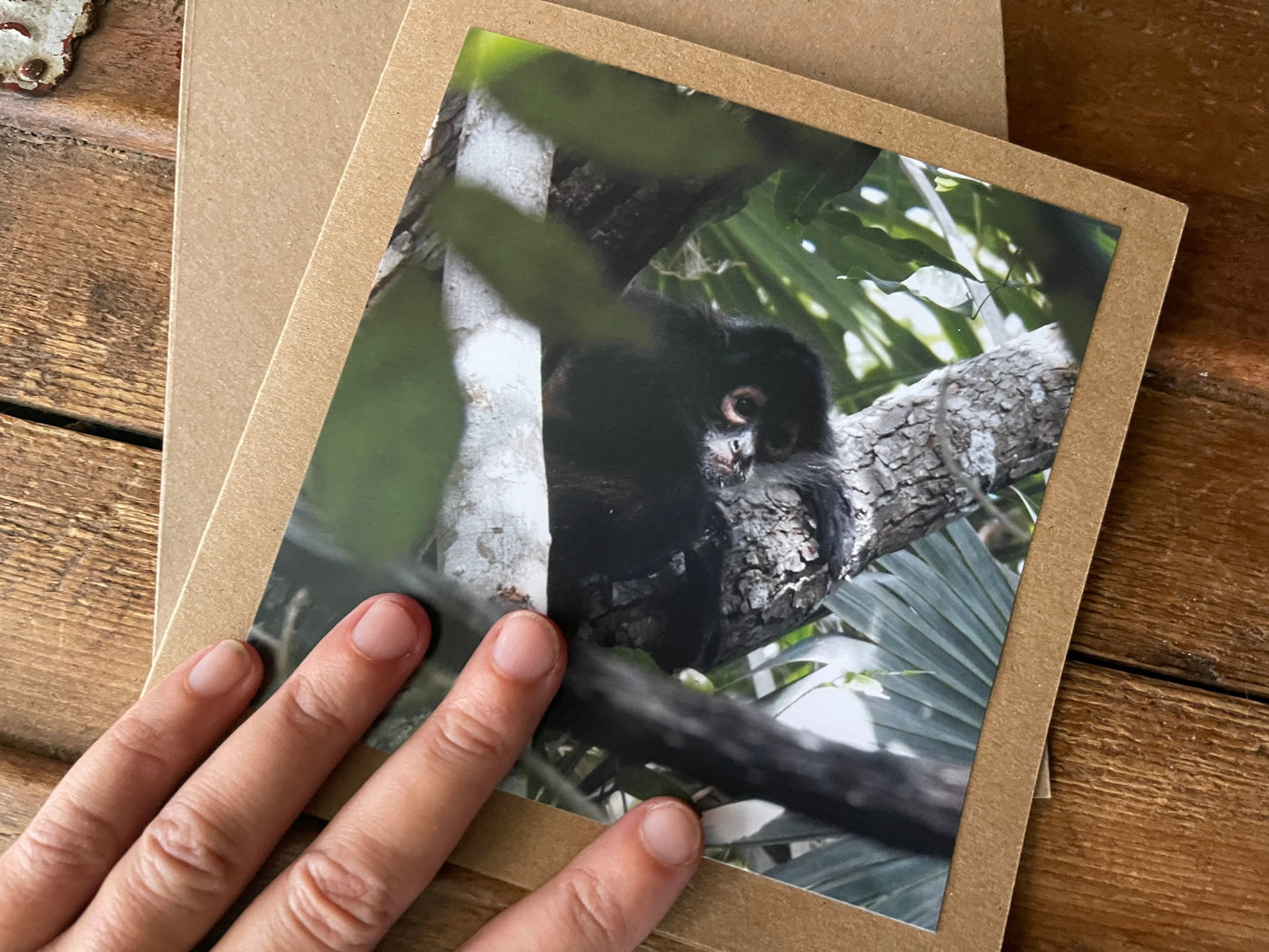 Monkey card. Handmade card, recycled card. Wildlife photography. Eco friendly card, boho nature card, rustic card, card for monkey lover,