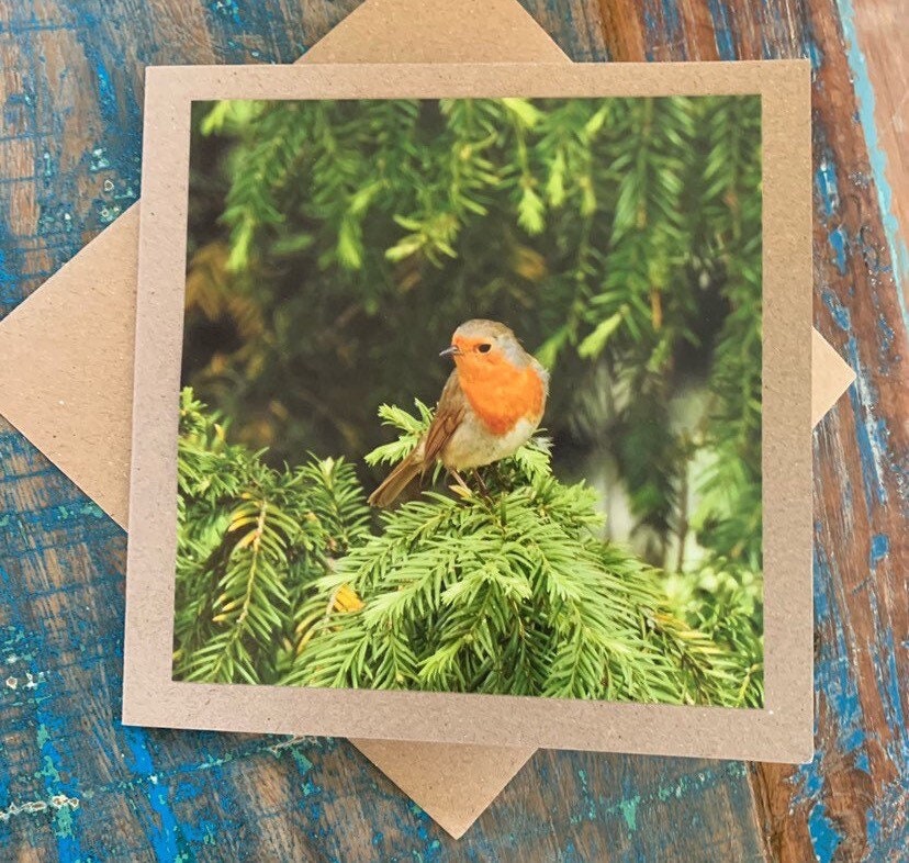 Recycled card, handmade card, Robin card, English nature card. Birthday card. Greetings card, birthday, thank you card, wildlife card, photo