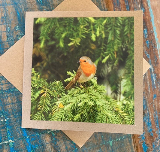 Recycled card, handmade card, Robin card, English nature card. Birthday card. Greetings card, birthday, thank you card, wildlife card, photo