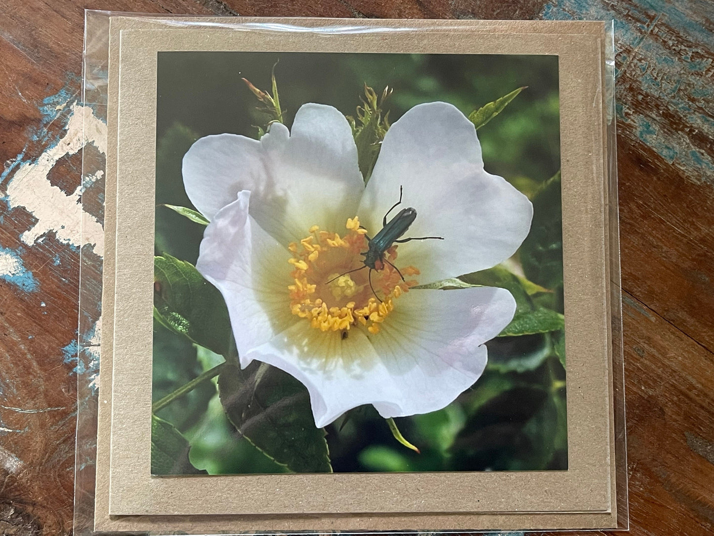 Flower card, recycled card, birthday card. Eco friendly card. Handmade card. Thank you card, blank gift card, English nature card, gift card