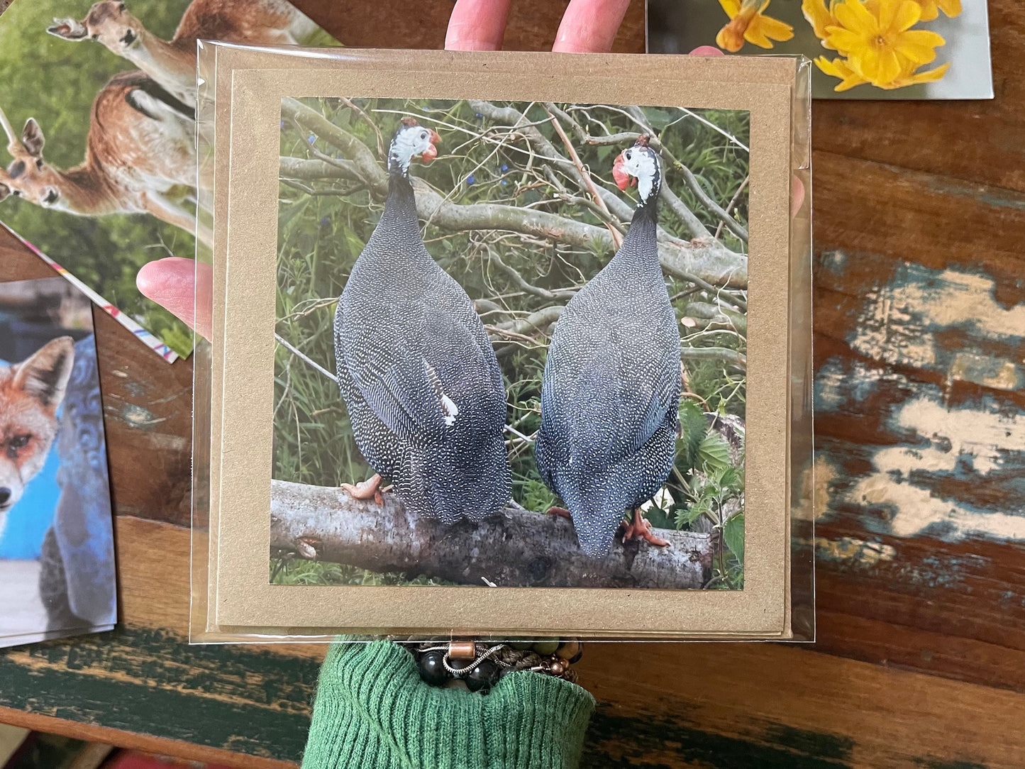 Handmade card, guineafowl card. Blank photo card. Gift for him, recycled card bird card, thank you card, unusual card, English wildlife card