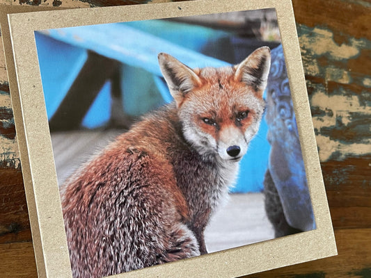 Fox card, recycled card, nature card, birthday card. Eco friendly gift card. Handmade card, gift for fox lower, homemade English animal card