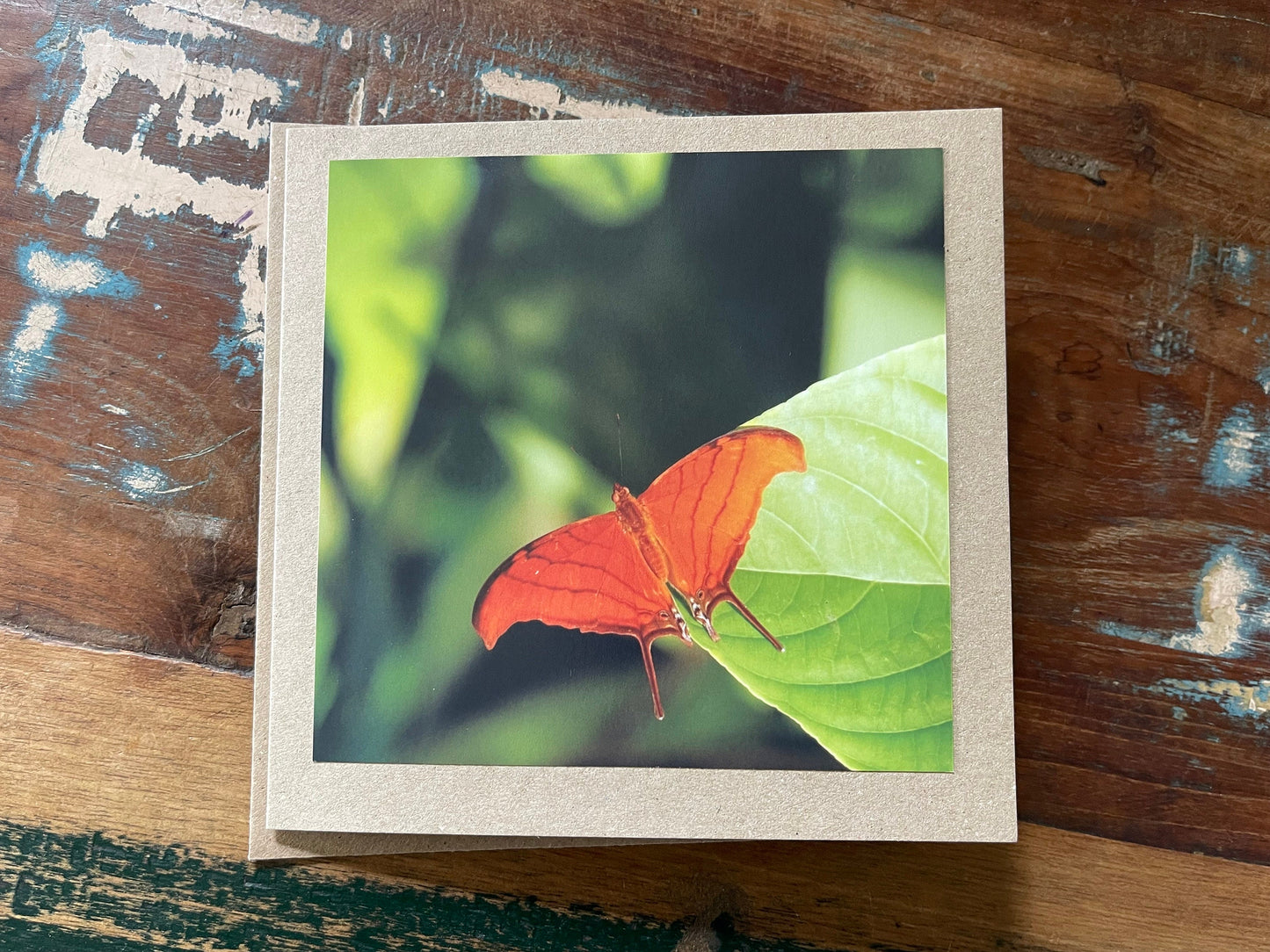 Orange butterfly card, recycled card, birthday card, wildlife card. Eco friendly card. Handmade card. Unusual card, Thank you card, eco card