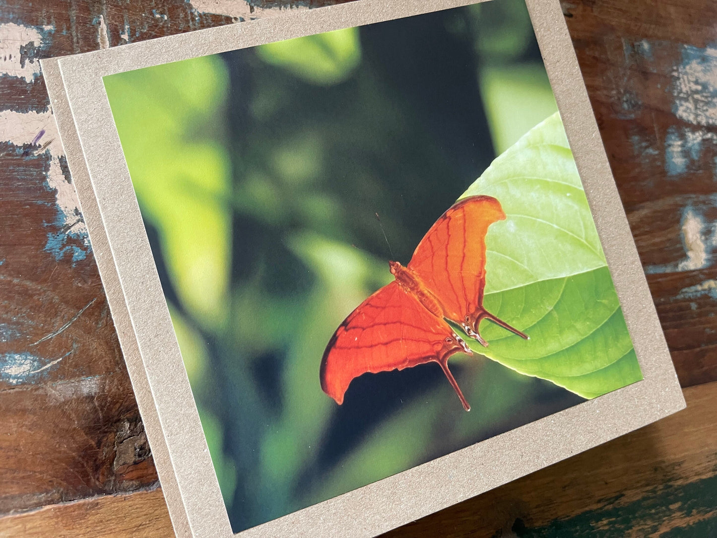 Orange butterfly card, recycled card, birthday card, wildlife card. Eco friendly card. Handmade card. Unusual card, Thank you card, eco card