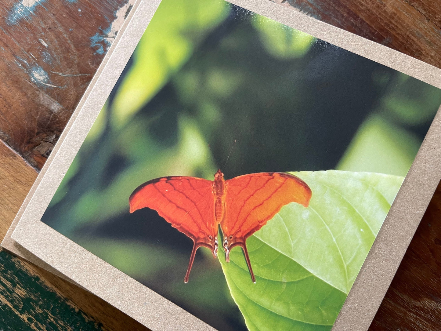 Orange butterfly card, recycled card, birthday card, wildlife card. Eco friendly card. Handmade card. Unusual card, Thank you card, eco card