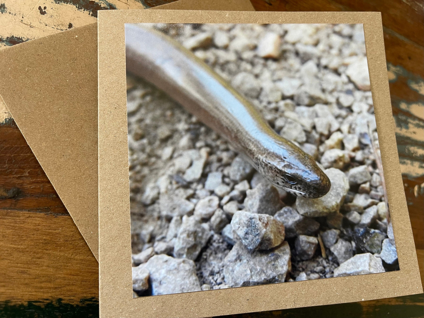 Slow worm card, recycled card, birthday card, wildlife card. Eco friendly card. Handmade card. Unusual card, Thank you card, snake card