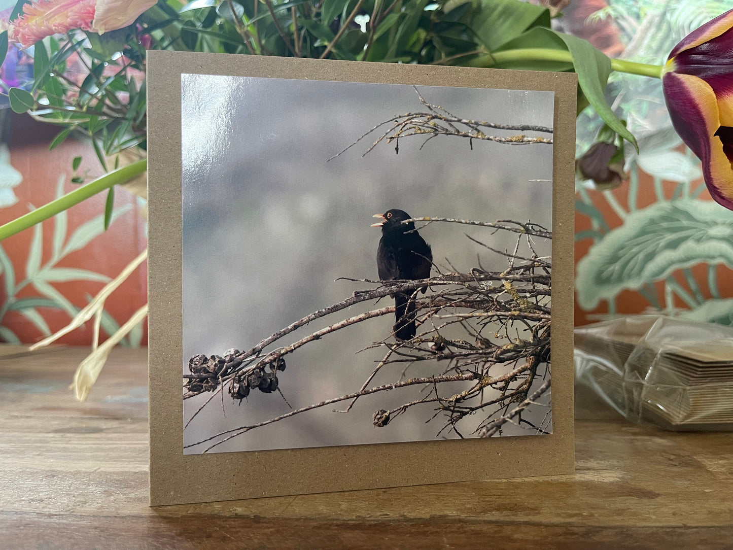 Blackbird card, recycled card, birthday card, English bird card. Eco friendly card. Handmade card. Unusual Thank you card, blank gift card