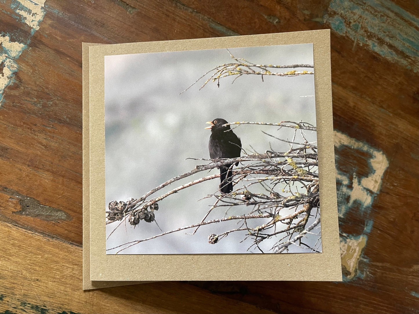 Blackbird card, recycled card, birthday card, English bird card. Eco friendly card. Handmade card. Unusual Thank you card, blank gift card