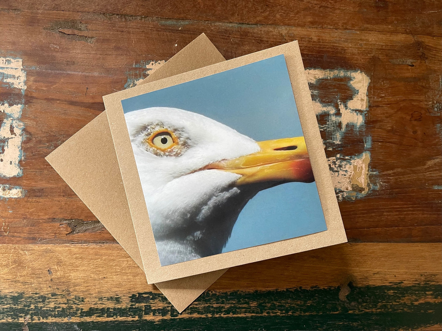 A seagull came to tea! Greetings card, birthday card, birthday, recycled card, thank you card, gift card, bird, Blank card, Handmade card